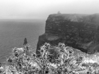 Cliffs Of Moher